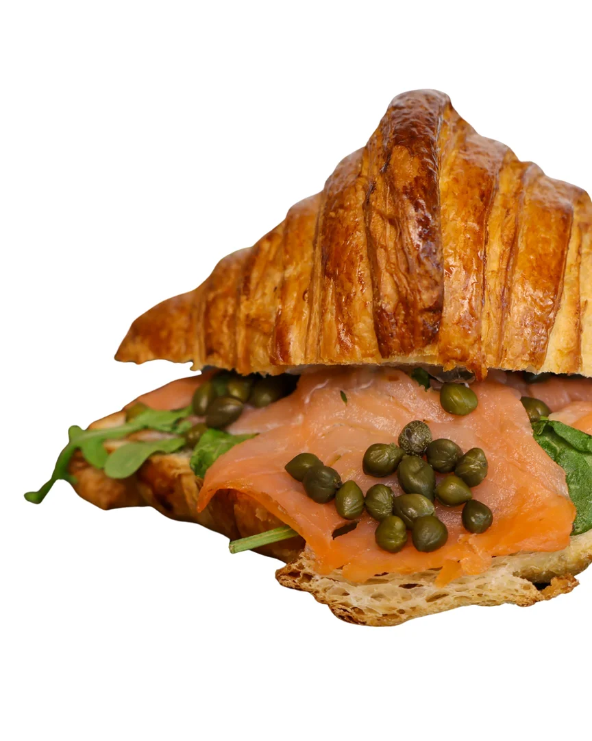Croissant sandwich filled with smoked salmon, capers and greens on a white background